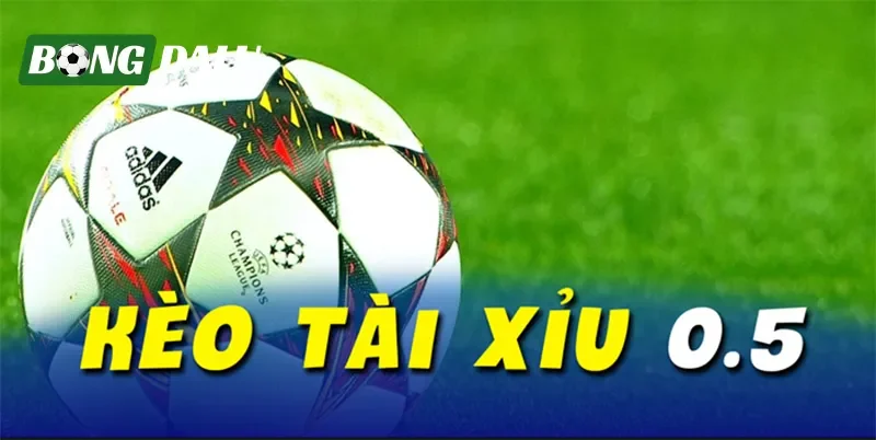 Tổng quan về kèo 0.5 chi tiết